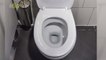 Here's Why Toilet Seat Covers Don't Actually Protect You From Germs