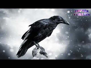 Chuyện Tâm Linh - Những “sứ giả cõi âm” báo điềm gở ám ảnh miền sơn cước