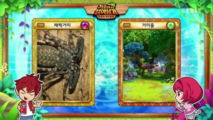 정글에서 살아남기 45~46화 카이의 결심 & 칼리만탄의 끝