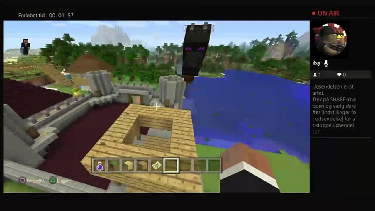 Minecraft (2)