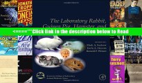 Read The Laboratory Rabbit, Guinea Pig, Hamster, and Other Rodents (American College of Laboratory