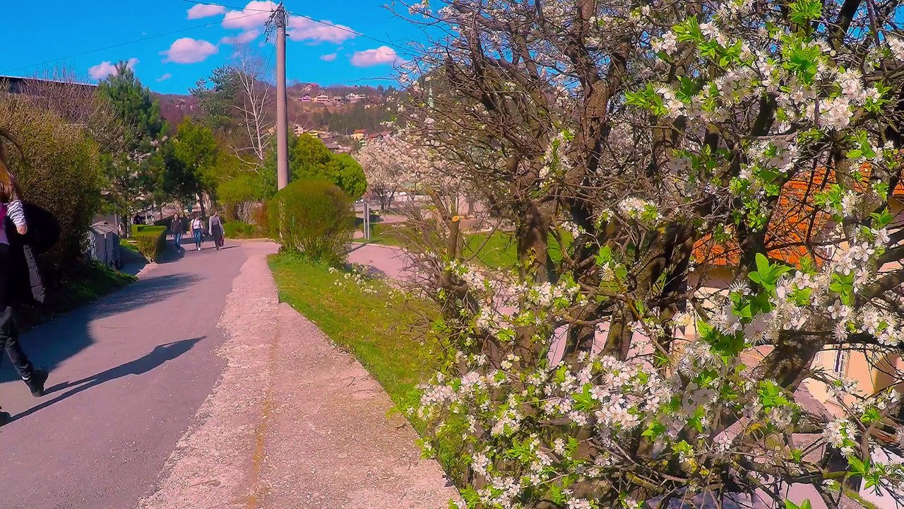 Nekako s proljeća u Konjicu 2017.