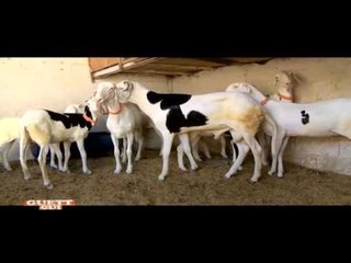 GUETH GUI DU DIMANCHE 24 JANVIER 2016