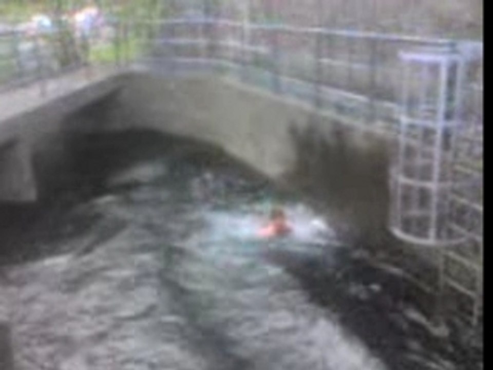 Plongeon ti rouge