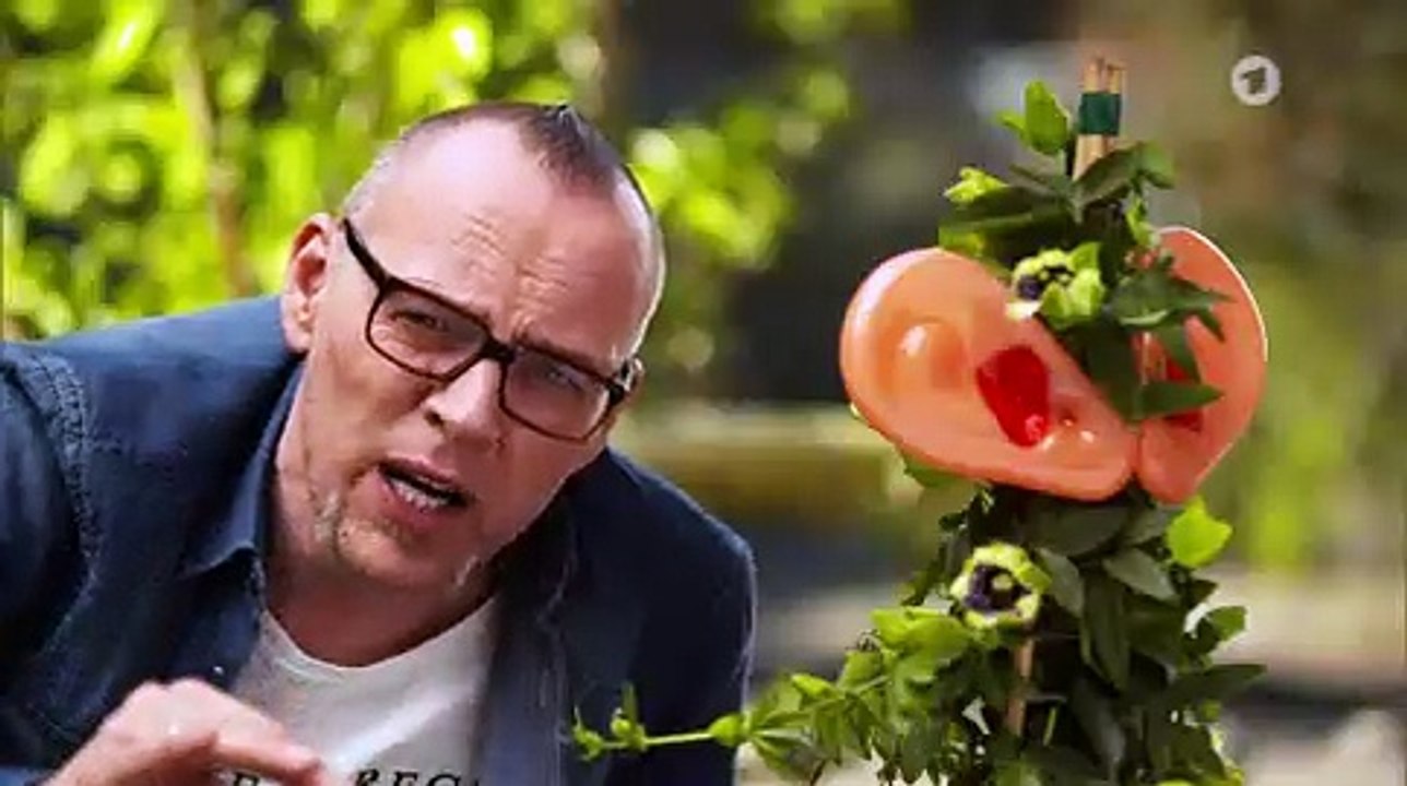 Können Pflanzen hören? | Wissen vor Acht: Natur | Das Erste