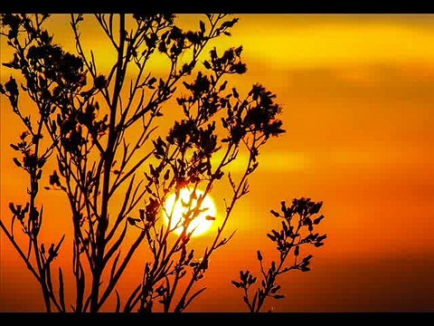 No quiere amarrarse - Arcangel ft Farruko y Ñengo flow