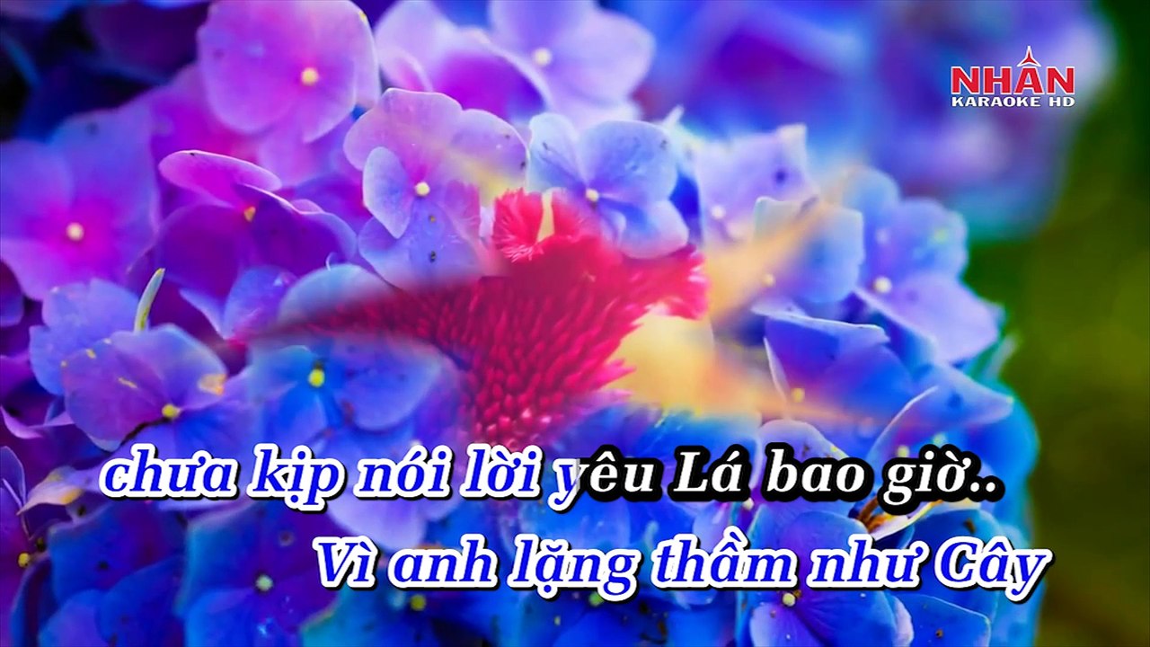 Cây Lá Và Gió (Karaoke Beat) - Thiên Minh ft Không Tú Quỳnh ft Đăng Khôi