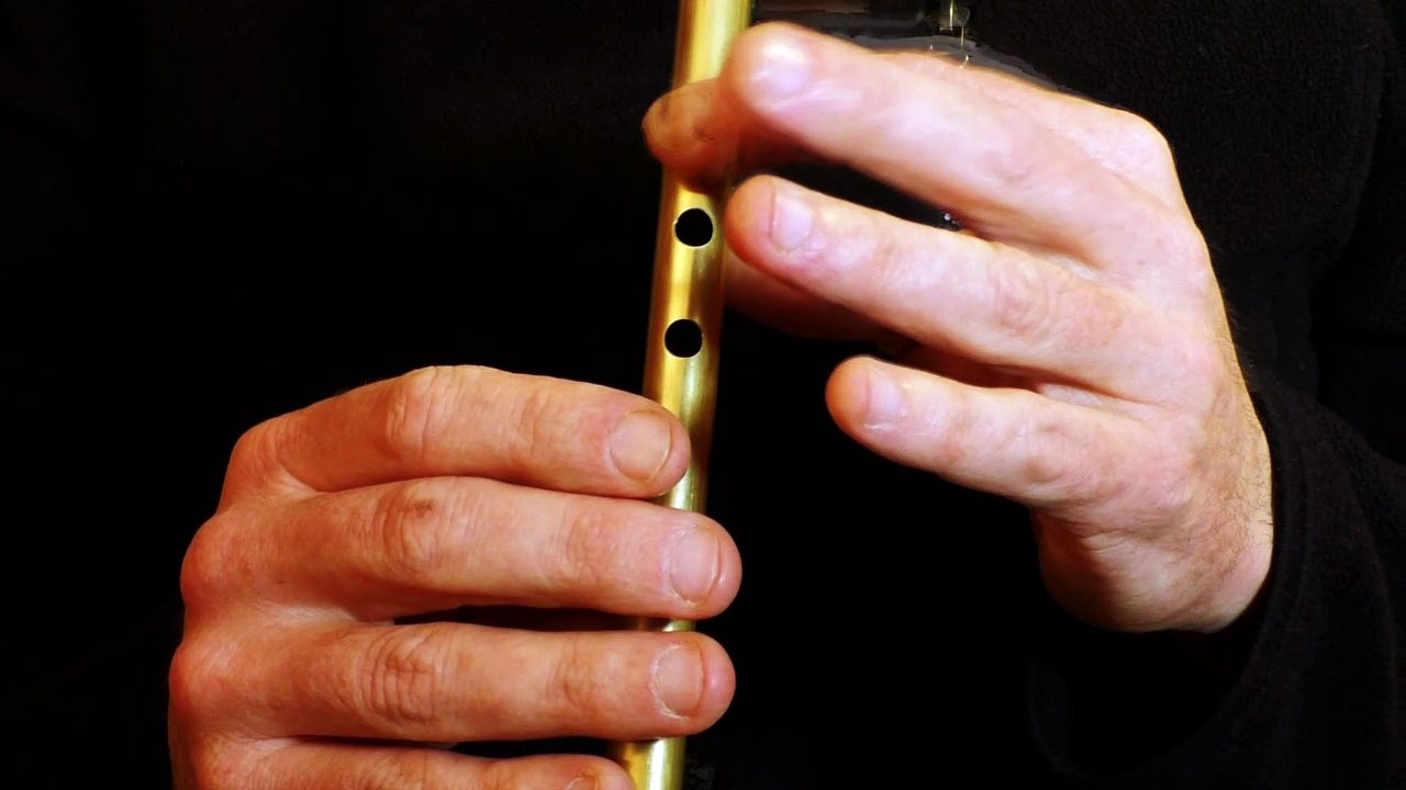 Musique à la flûte irlandaise - The Cat's Rambles - Tradschool