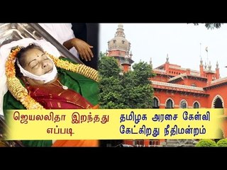 ஜெயலலிதா மரணம், தமிழகம் பதில் அளிக்க உத்தரவு | Madras HC on Jayalalithaa's death- Oneindia Tamil