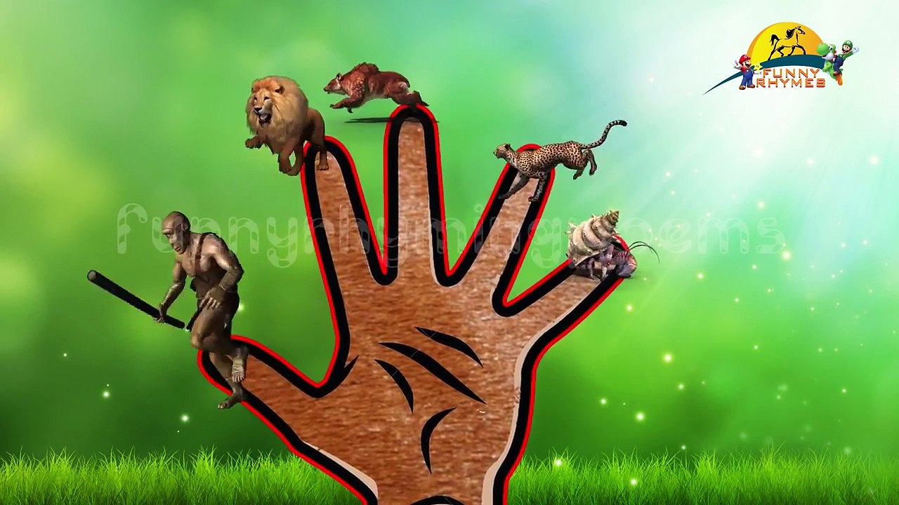 Animals Finger Family Rhymes Collection | 3D Animation Animals Nursery Rhymes Collection