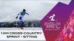 Qualification: Men's / women's 1km sprint freestyle | Cross-country skiing | Sochi 2014 Paralympics