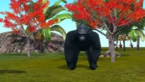 3D animated Colors Gorilla Finger family - Animals Dinosaur Daddy Finger family Rhymes for