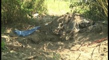 Autoridades comienzan exhumación de restos de 35 personas en México