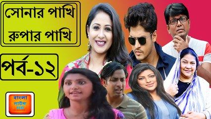 Bangla Natok Sonar Pakhi Rupar Pakhi part 12  ft niloy HD