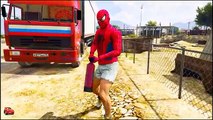 Spiderman drives trucks - Cartoons for Kids
