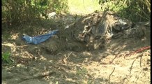 Autoridades comienzan exhumación de restos de 35 personas en México_