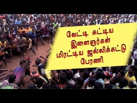 சென்னை ஜல்லிக்கட்டு பேரணி | Jallikkattu Rally in Chennai merina- Oneindia Tamil