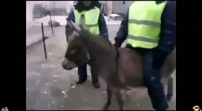 И снова гаишником выдали новые машины,где справедливость.