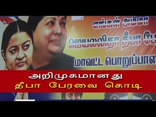 தீபாவுக்கு பெருகும் ஆதரவு | Support for J.Deepa is increasing- Oneindia Tamil