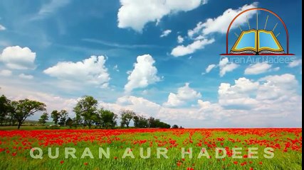 The (Shahadat)  Martyrdom Story of Hazrat Ali Razi Allah Tala Anhu in Urdu