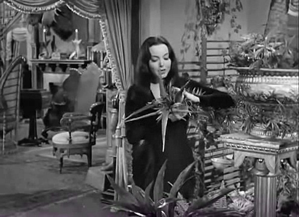 A Familia Addams Episodio 22   Amnésia na Família Addams DUBLADO_xvid