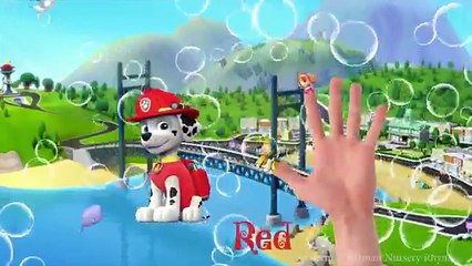 Finger Family Compilation Paw Patrol, Cars Mater, PJ Masks, Alvin Chipmunks, Minions, TMNT