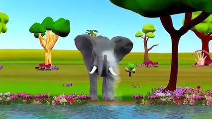 Finger Family Elephant | ChuChu TV Animal Finger Family Songs & Nursery Rhymes For Childre