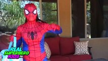 PREGNANT PINK SPIDERGIRL POO COLORED BALLS w/ BABY FROZEN ELSA vs JOKER Fun Superhero Compilation!