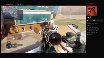 Trying to get 500 kills with pistel duel wield (3)