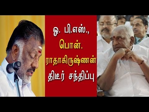 ஓ. பி.எஸ்.,-பொன். ராதாகிருஷ்ணன் திடீர் சந்திப்பு | Pon. Radhakrishnan met TN CM - Oneindia Tamil