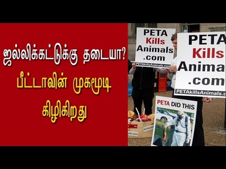 பீட்டா அமைப்புக்கு எதிராக போராட்டம் | PETA  kills animals - Oneindia Tamil