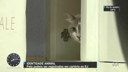 Donos de animais de estimação já podem tirar certidão de identidade dos mascotes