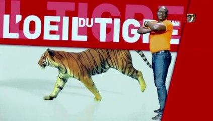 RUBRIQUE AFFICHE du 21 Mars 2017 avec NEKO REUL - FALAYE 2 dans L' Oeil Du Tigre