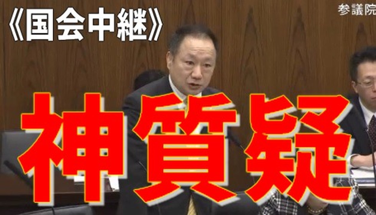 沖縄基地外活動とのりこえねっと　山田宏(自由民主党・こころ) 国会中継 参議院 沖縄及び北方問題に関する特別委員会 平成29年3月21日