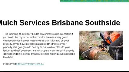 Best Tree Removal Services Brisbane Southside