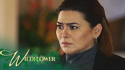 Wildflower: Emilia recalls all the things Julio did to her | Episode 27
