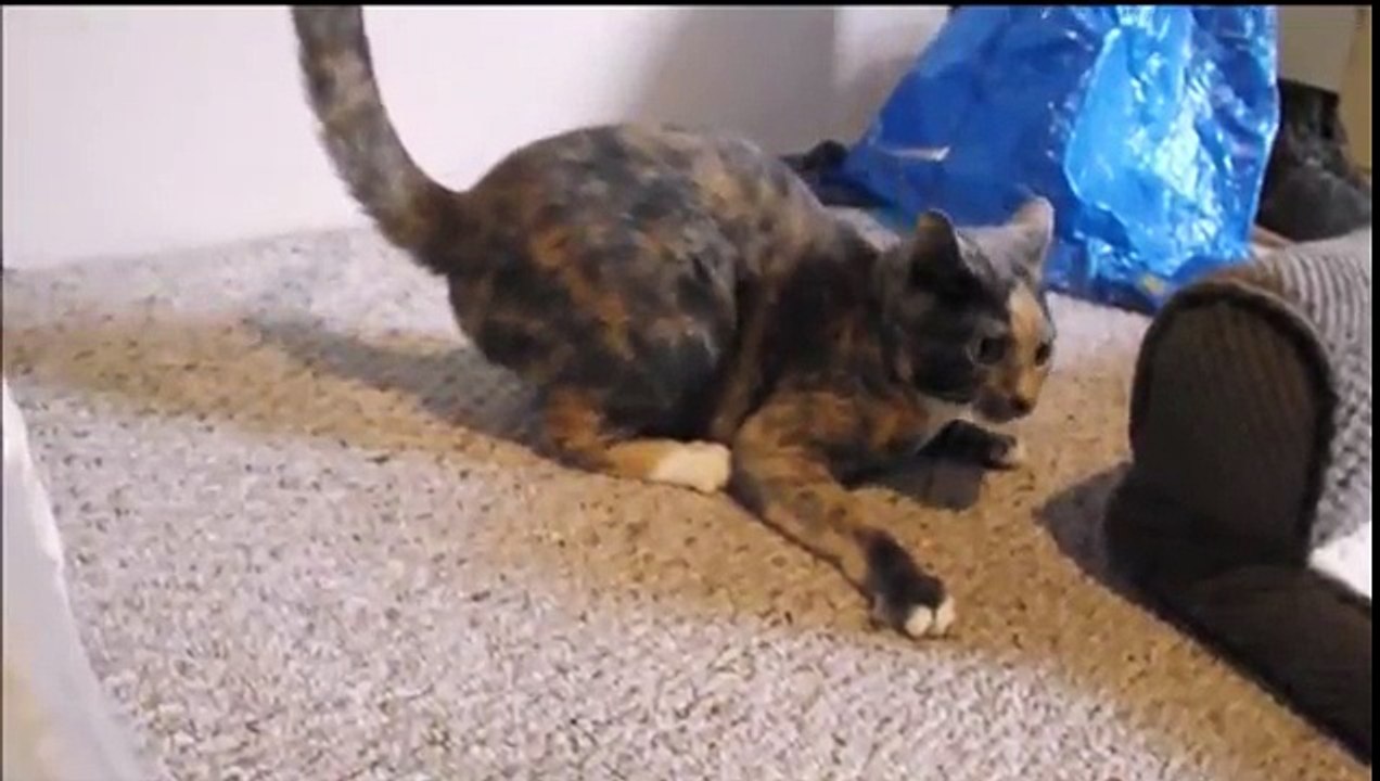 When you get caught