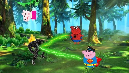 Конте Конте ан s Hd h наливать Французский рок |