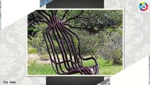 Funny Pictures ! Funny Trees Amazing ! Funny Shaped Plants ! Whatsapp Funny Images ! Amazing Tr