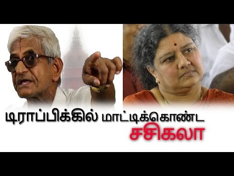 சசிகலாவை எதிர்த்து டிராபிக் ராமசாமி | Traffic Ramasamy oppose V.K. Sasikala- Oneindia Tamil