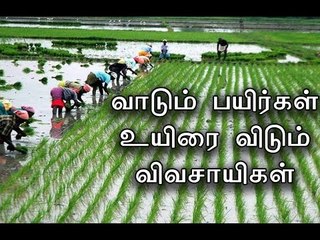 உயிரை விடும் விவசாயிகள் | Woman farmer dead- Oneindia Tamil