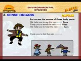 Human Sense Organs | Videos for Kids
