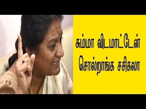 சசிகலா புஷ்பா பேட்டி | Sasikala Pushpa interview- Oneindia Tamil