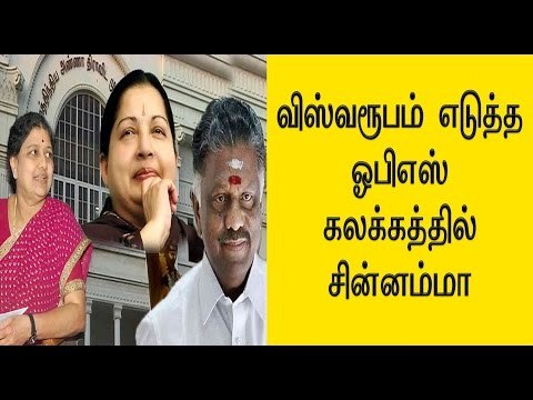 சசிகலாவை கண்டுகொள்ளாத ஓபிஎஸ் | Panneerselvam not to visit Poes Garden- Oneindia Tamil