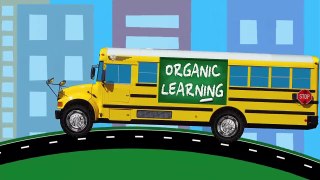 Cars Trucks Street Vehicles Teaching Colors - Learning Colours Video for Children - Organic Learn