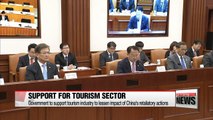 Government to support tourism industry hit by China's retaliatory actions