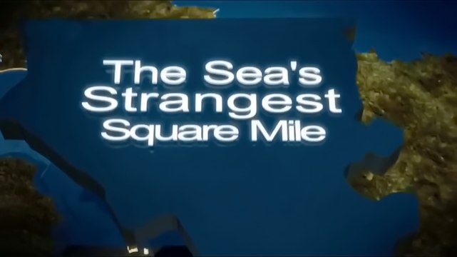 Самое странное место в океане