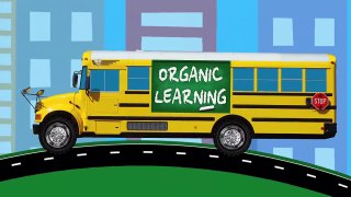 Big Rig Car Carrier Teaching Colors for Kids #1 Learning Colours Video for Children Organic Learn