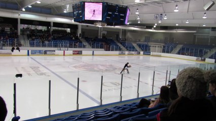 Lubov Ilyushechkina / Dylan Moscovitch 2017 Worlds Simulation - SP (fancam)