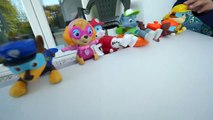 Paw Patrol Color Slide Learn Colors with Bath Water Toys-whrZIZfyx